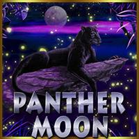  Panthermoon